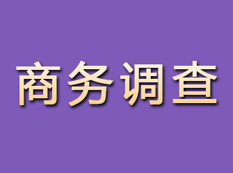 鲁甸商务调查